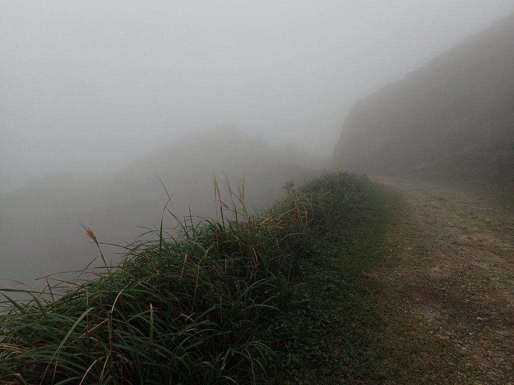 P1203414.JPG - 瑞芳  牡丹山