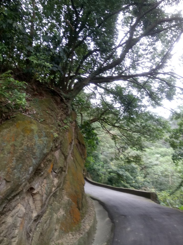 DSC_5224.JPG - 三峽  鳶山  (福德坑山)