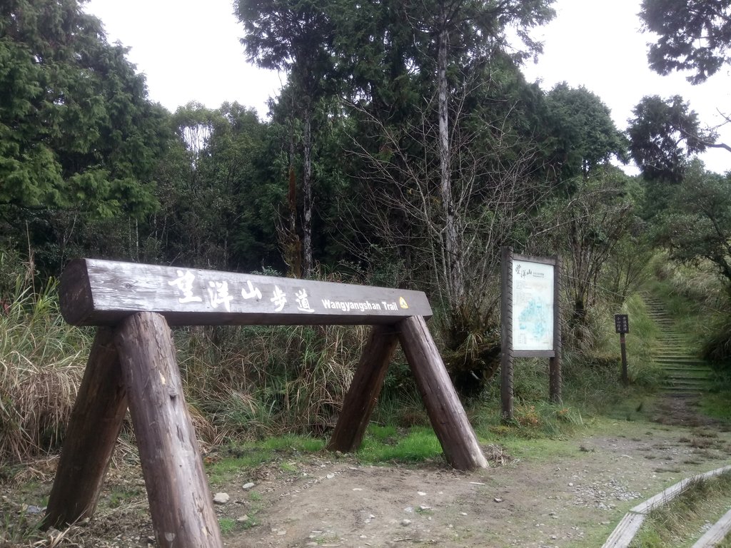 DSC_0035.JPG - 太平山  翠峰湖環山步道  01