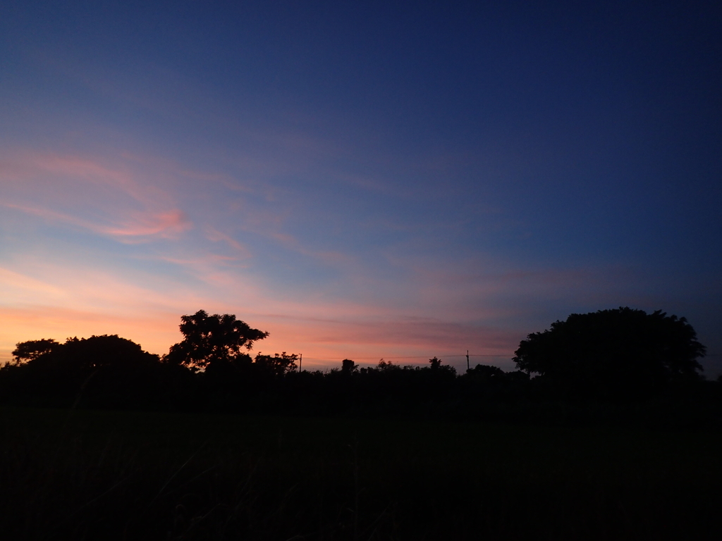 P6184493.JPG - 大安溪  堤岸暮色