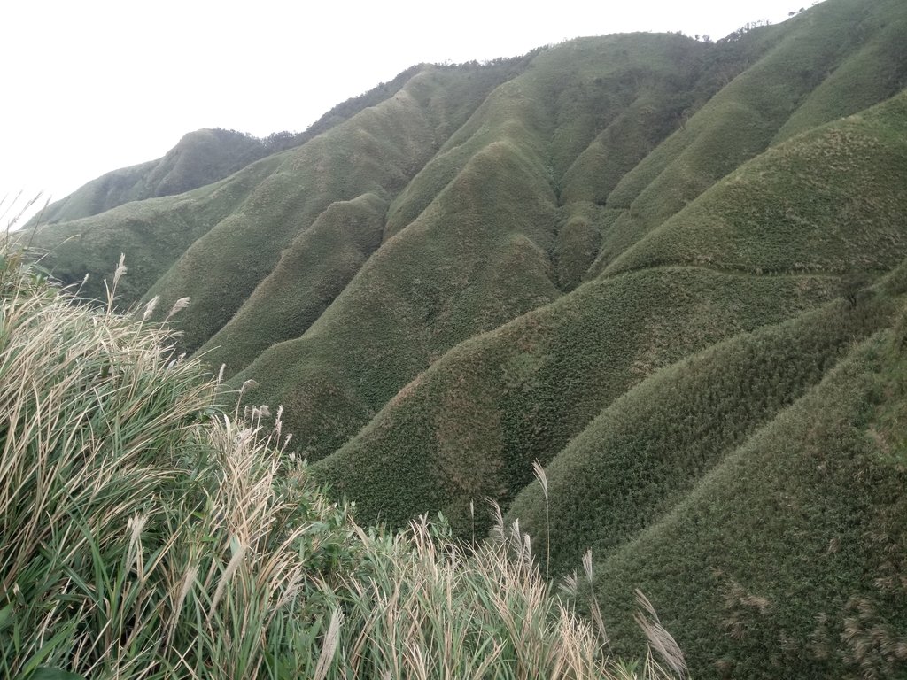 DSC_2822.JPG - 礁溪  聖母登山步道  (抹茶山)