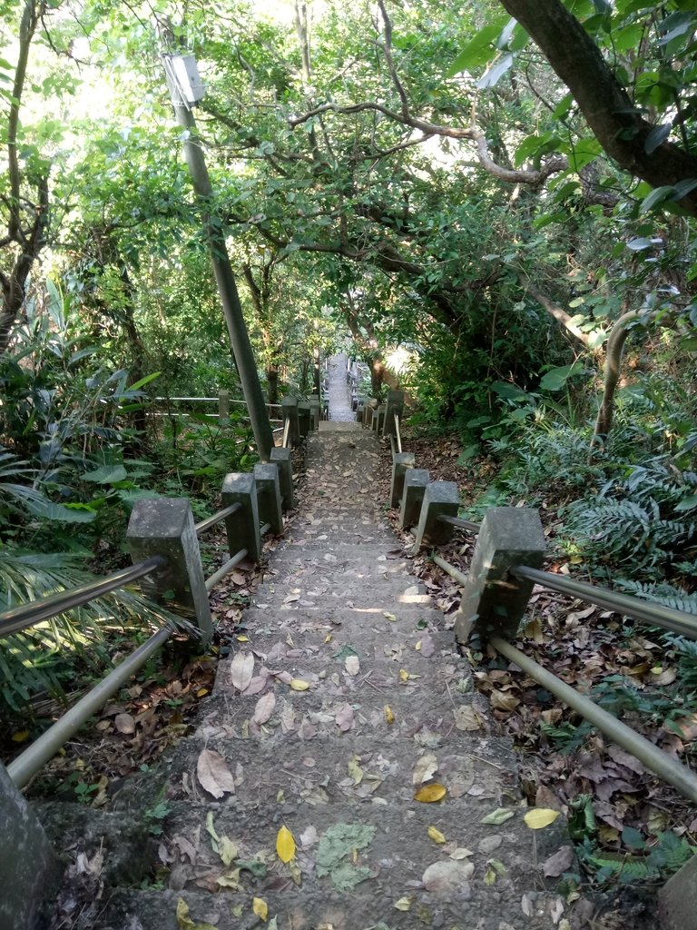 DSC_3054.JPG - 基隆  白米甕尖步道  