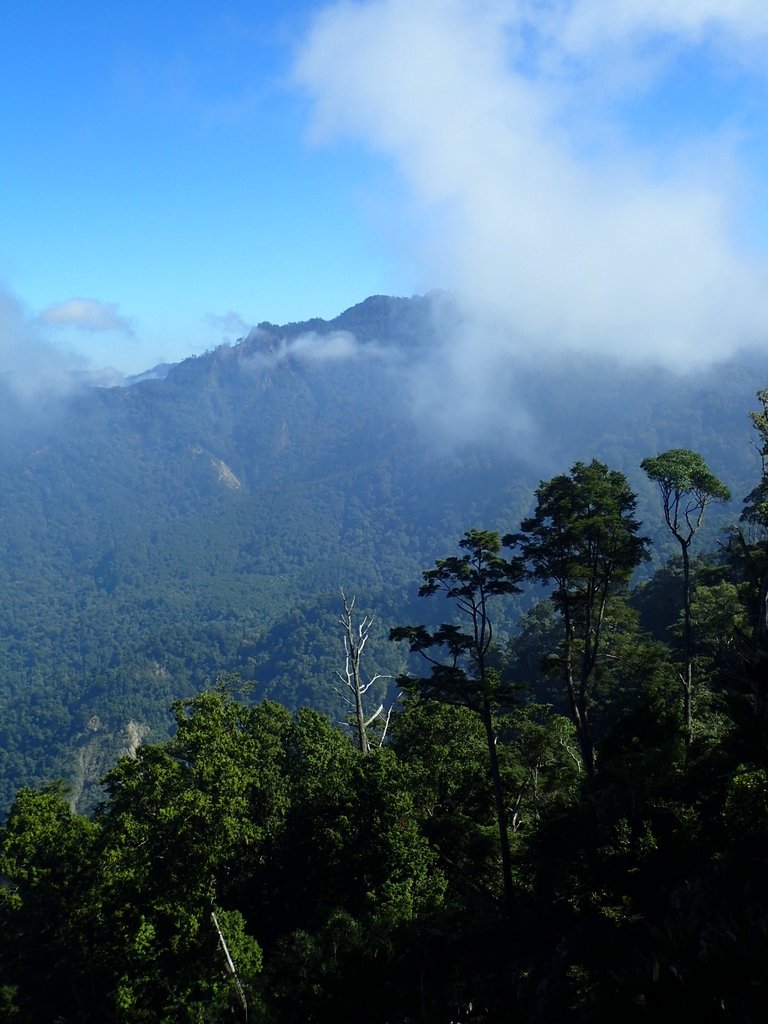 PA185574.JPG - 台中  和平  稍來山