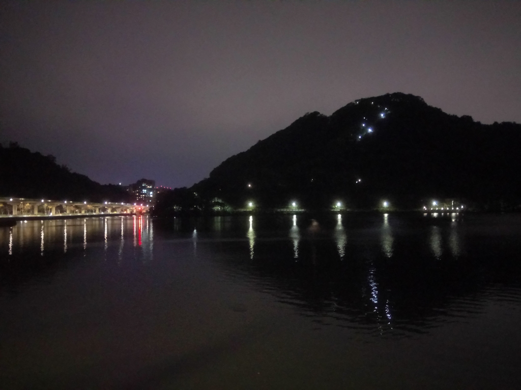 DSC_9327.JPG - 內湖  大湖公園之夜色