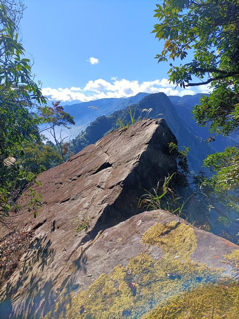 IMG20201205093108.jpg - 鹿谷  溪頭  南鳳凰山