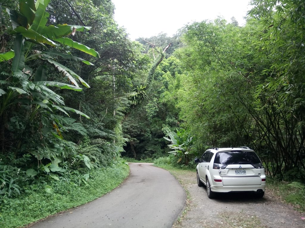 DSC_3024.JPG - 大溪  金面山登山步道