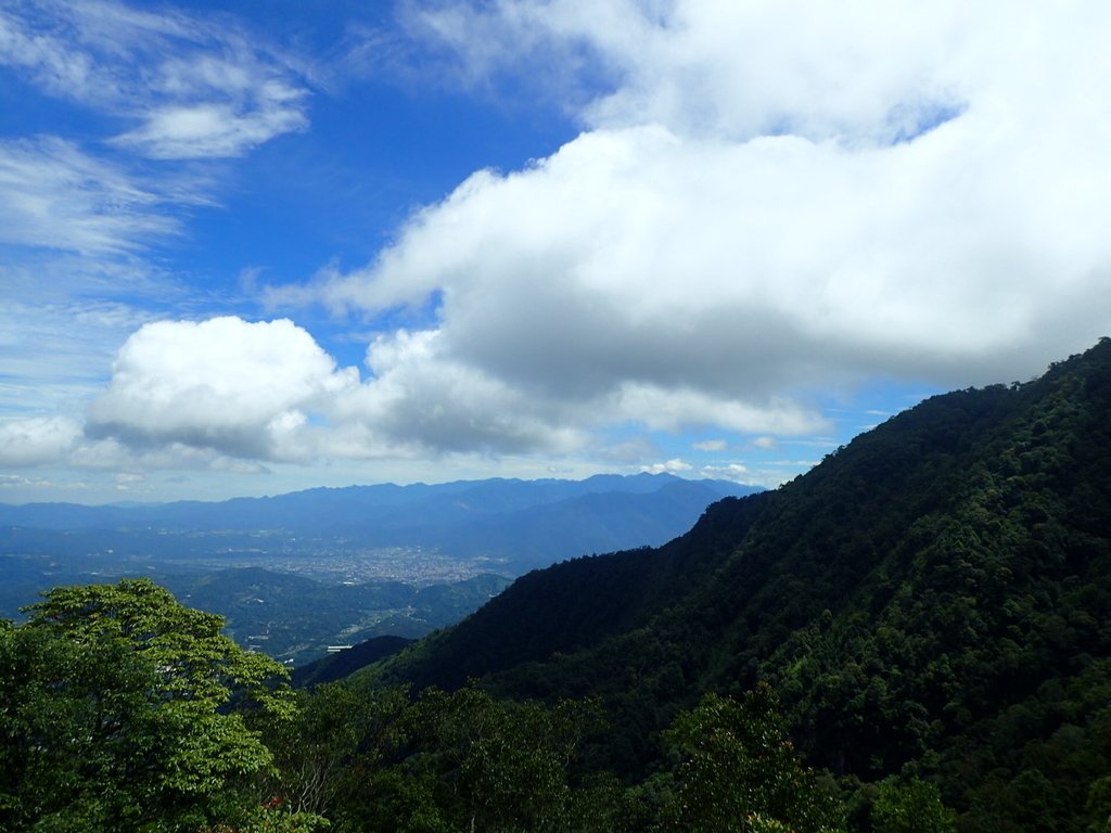 P7105191.JPG - 魚池  水社大山