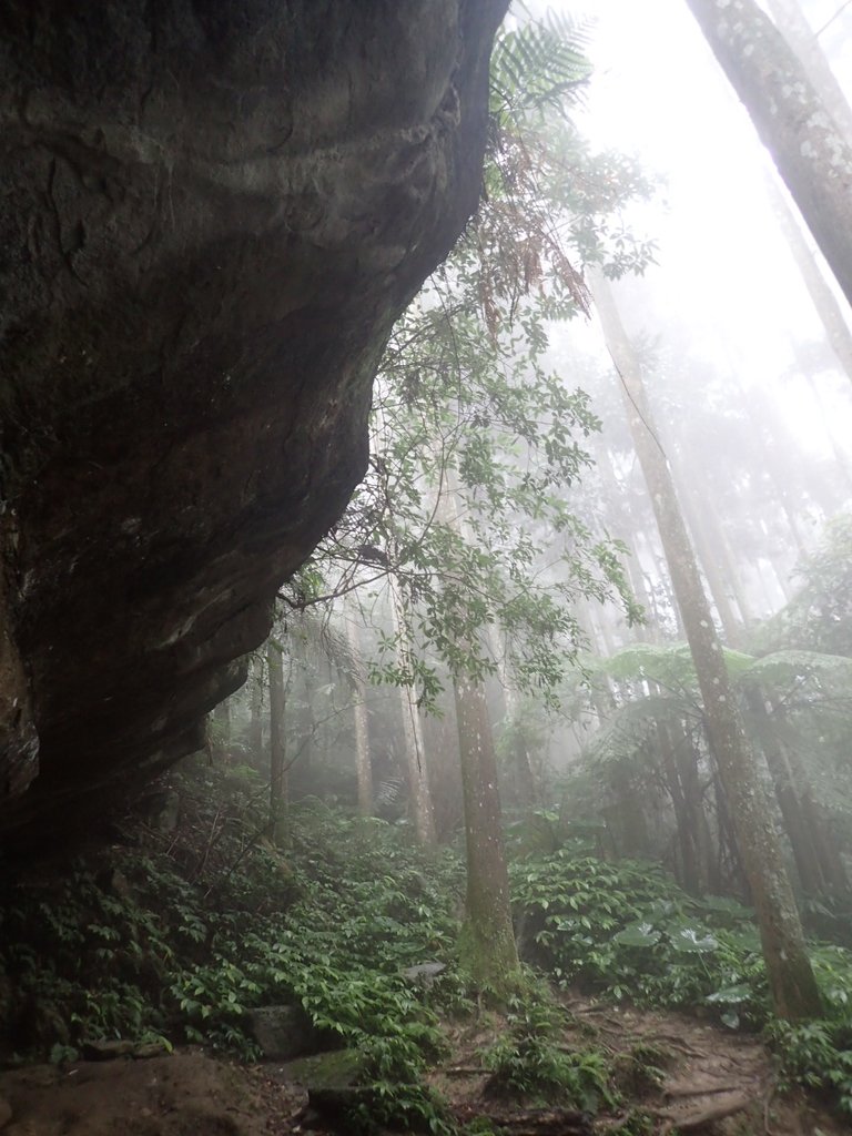 P9250152.JPG - 南庄  向天湖山  光天高山