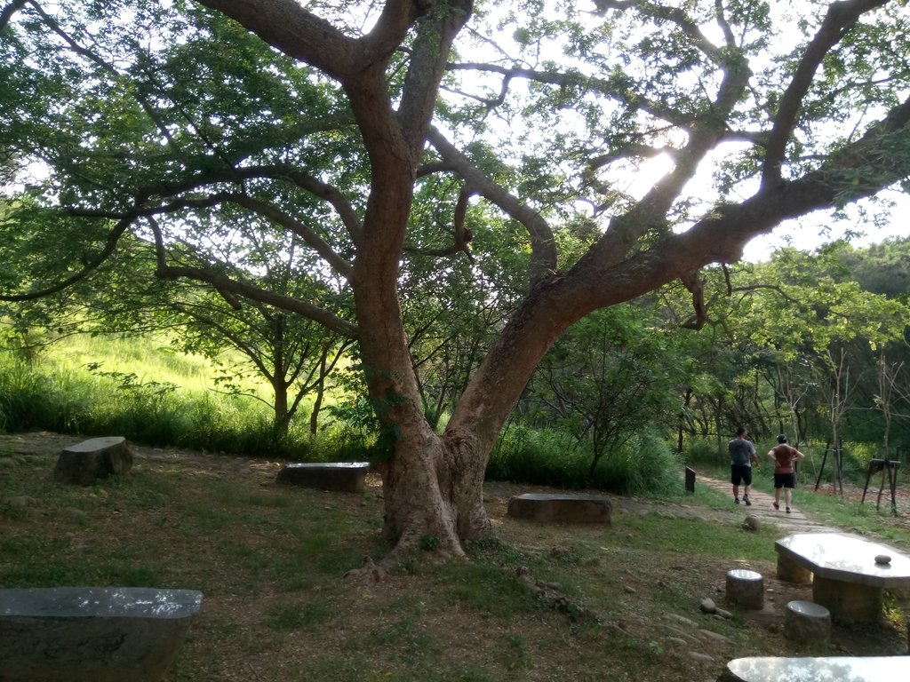 DSC_5821.JPG - 龍井  竹坑南寮登山步道