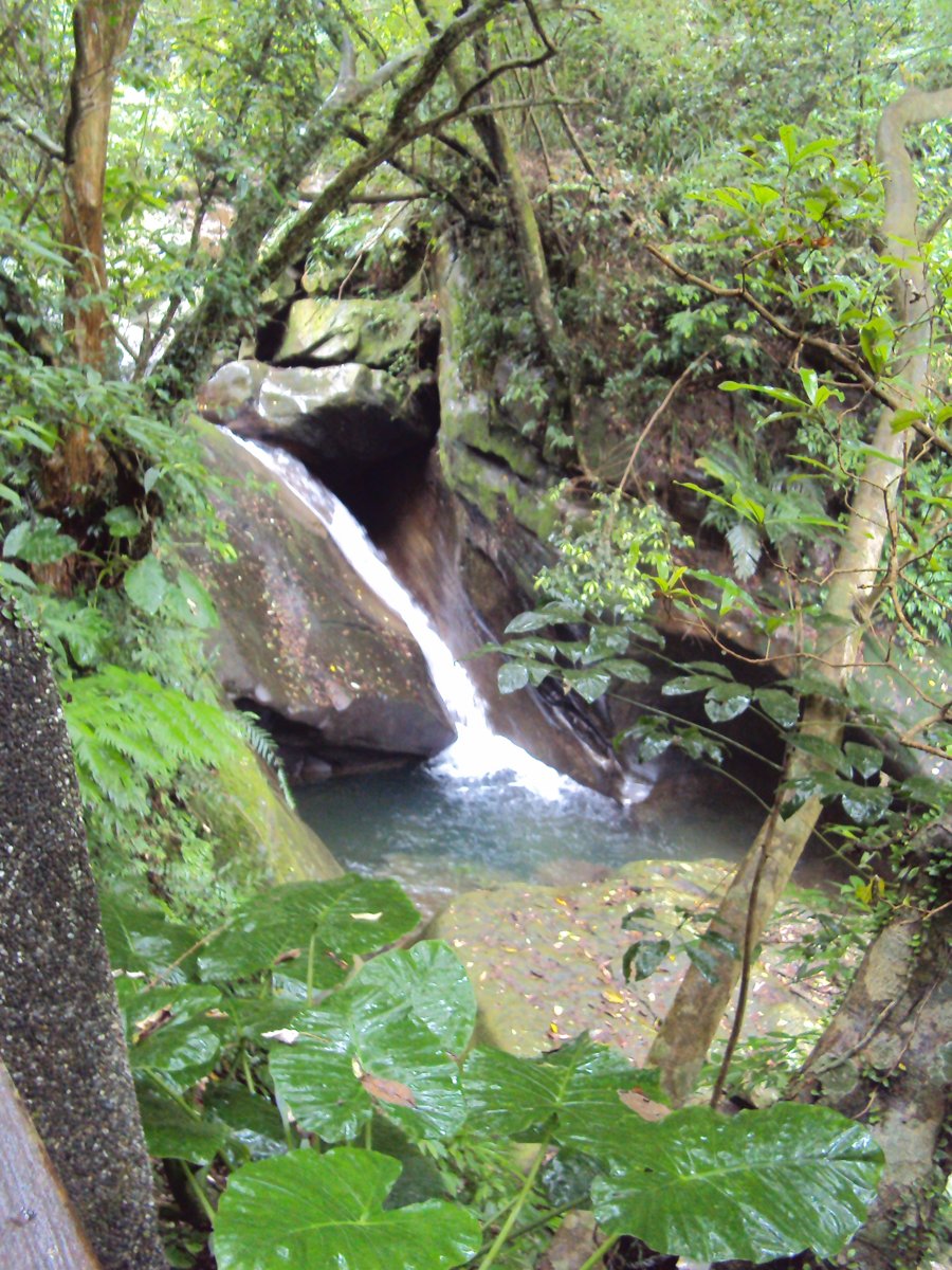 DSC07567.JPG - 基隆  暖東峽谷步道