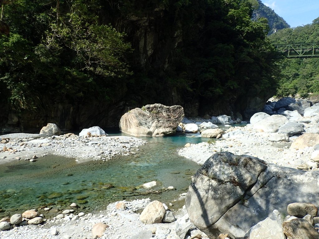 P8120285.JPG - 花蓮  秀林  砂卡噹步道