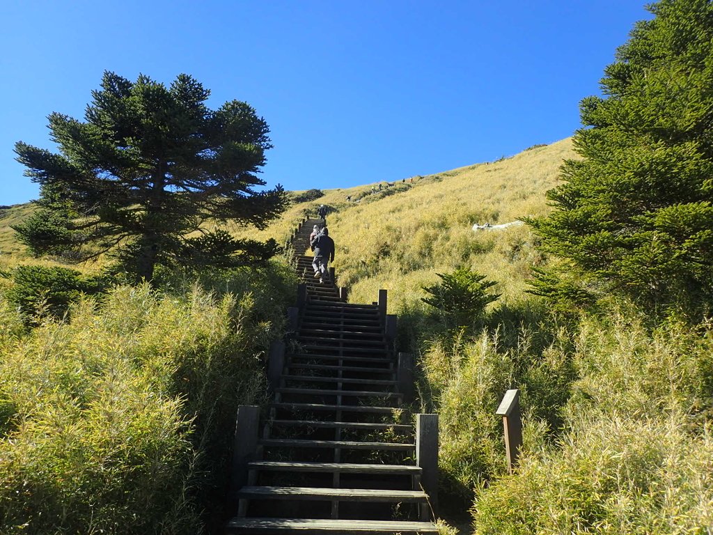 PC132025.JPG - 合歡山  東峰