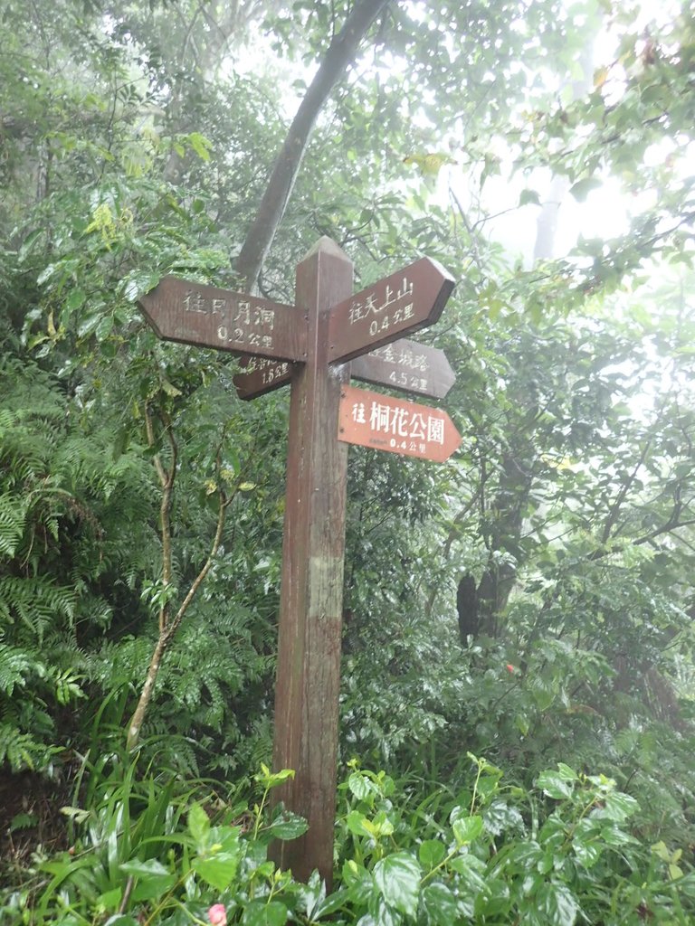 P1062054.JPG - 土城  天上山  登山步道