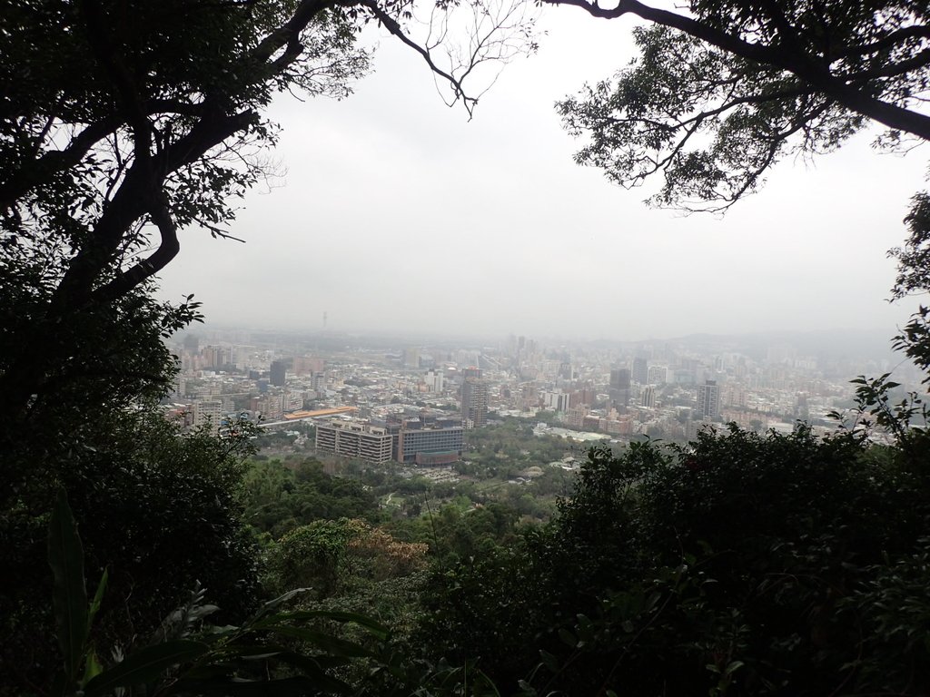 P1122675.JPG - 大直圓山風景區  劍潭山