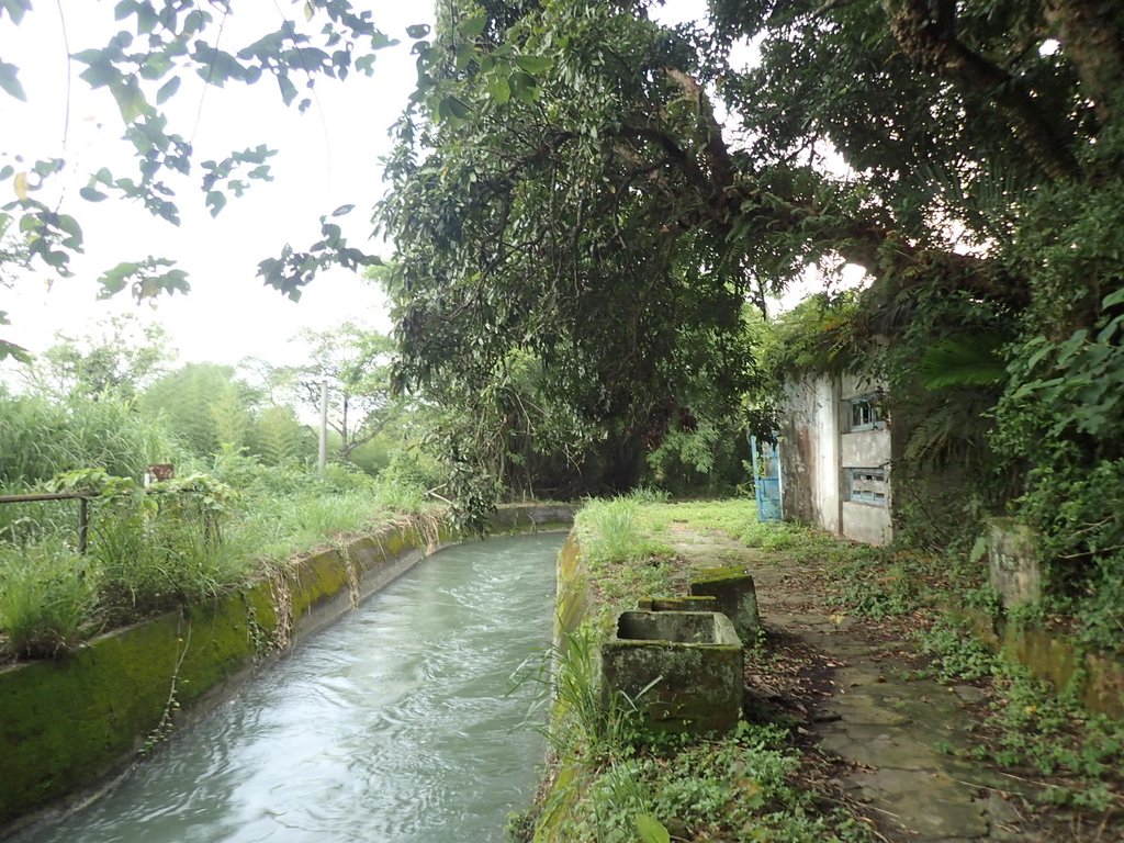 P8287387.JPG - 舊山線鐵道  后里圳磚橋