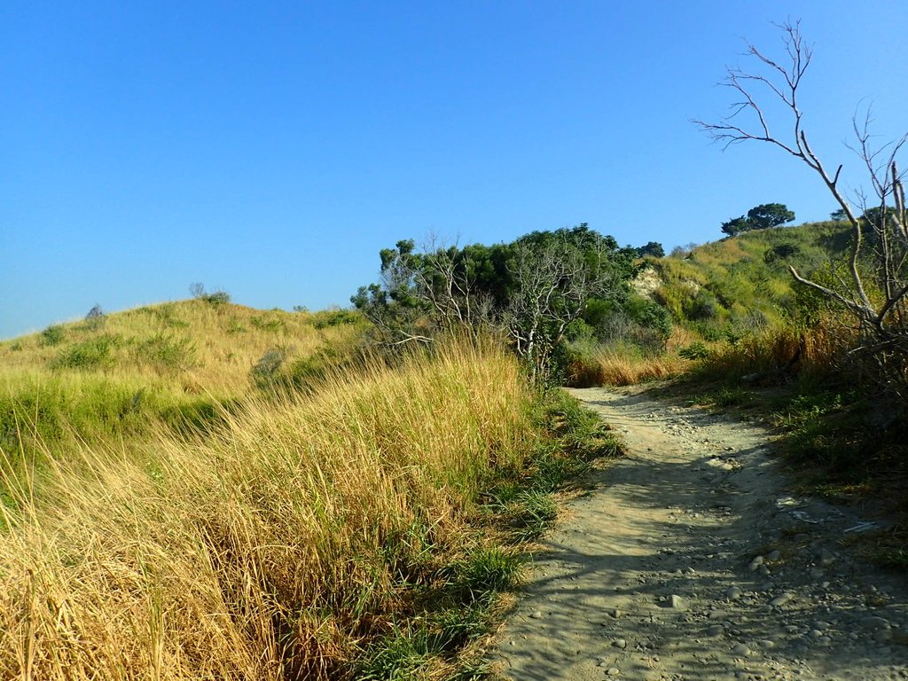 PA282005.JPG - 烏日  學田山登山步道