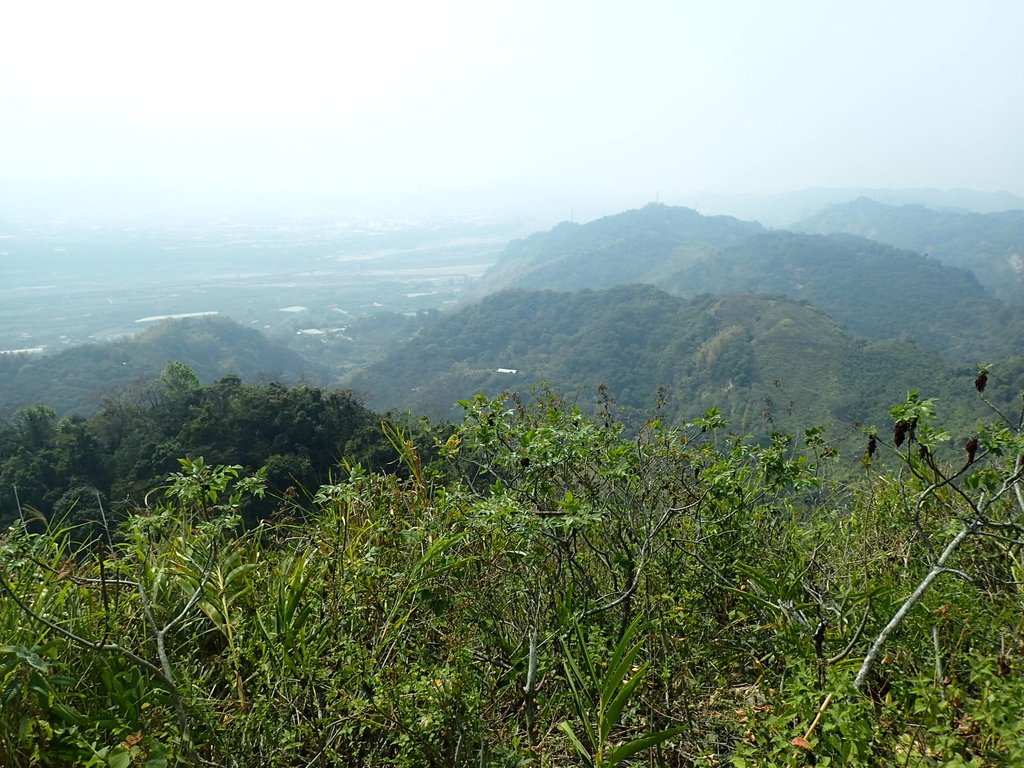 P3016101.JPG - 草屯平林  九九峰森林步道