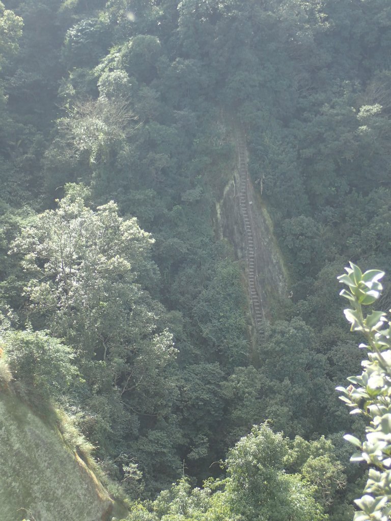 P1224293.JPG - 再訪---  平溪  孝子山登山步道