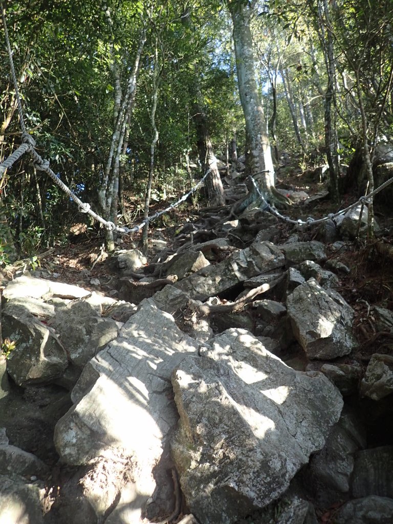 PA185487.JPG - 再訪---  台中  和平  鳶嘴山