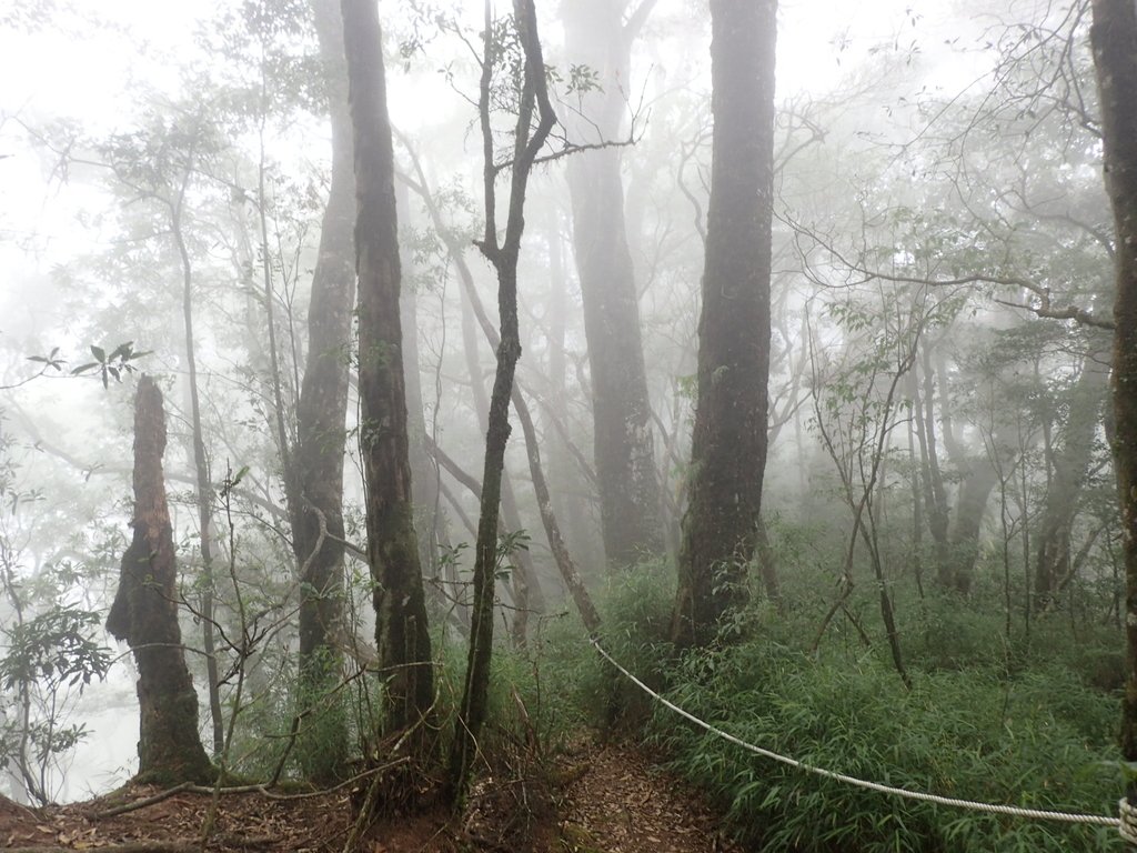 PA185669.JPG - 台中  和平  稍來山南峰