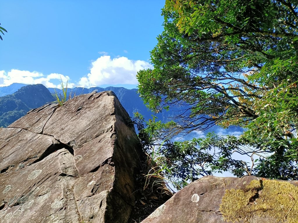 IMG20201205093358.jpg - 鹿谷  溪頭  南鳳凰山