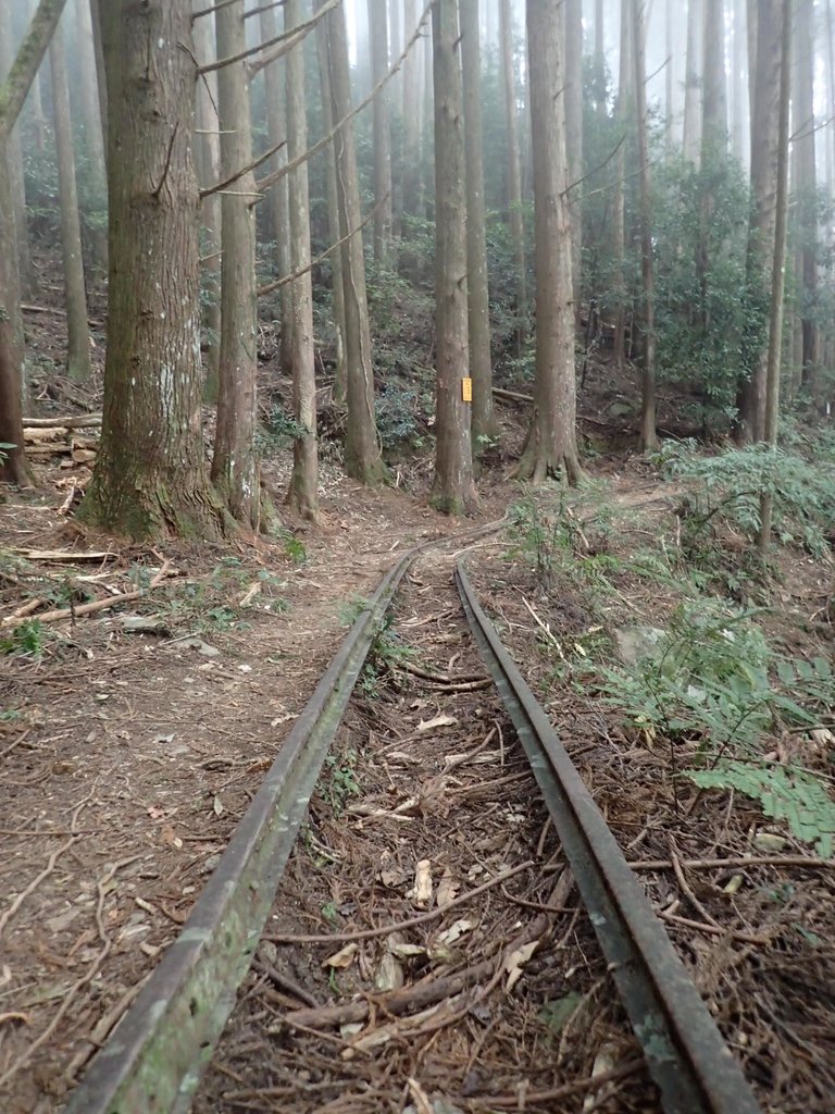 P2034989.JPG - 南庄  加里山  森林鐵道