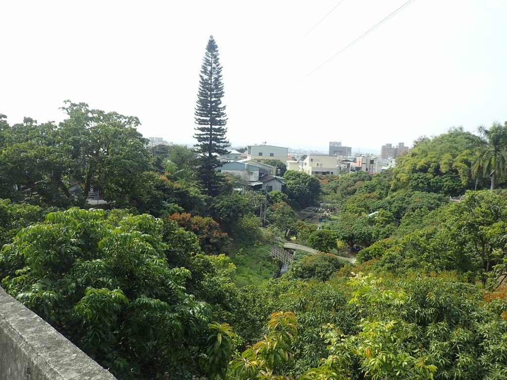 P2095068.JPG - 霧峰  阿罩霧山