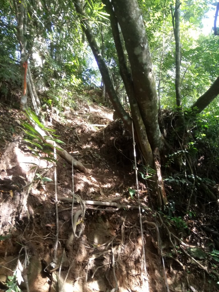 DSC_2510.JPG - 國姓  大橫屏山