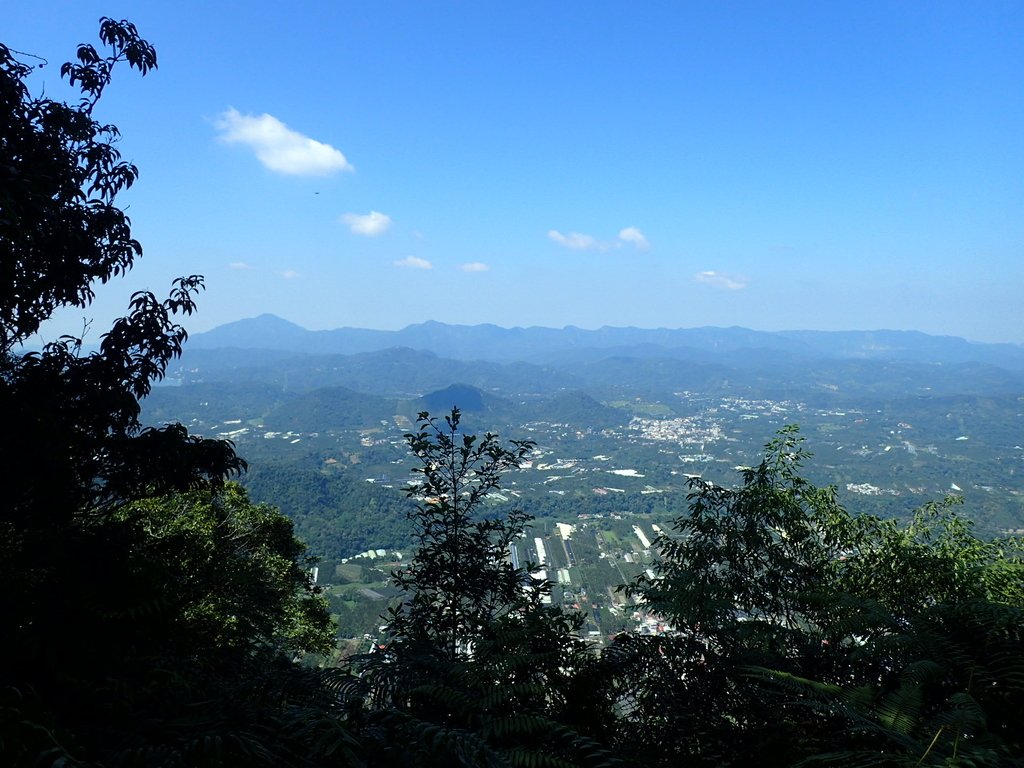 PA040385.JPG - 魚池  過坑山登山步道