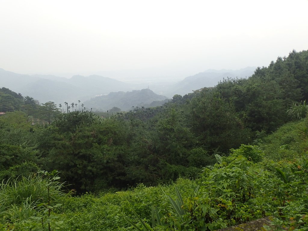 PA171434.JPG - 鹿谷  麒麟潭之  雨中即景