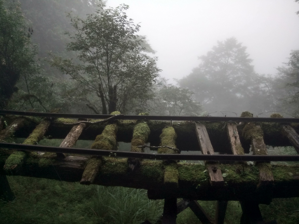 DSC_5632.JPG - 太平山 見晴懷古步道