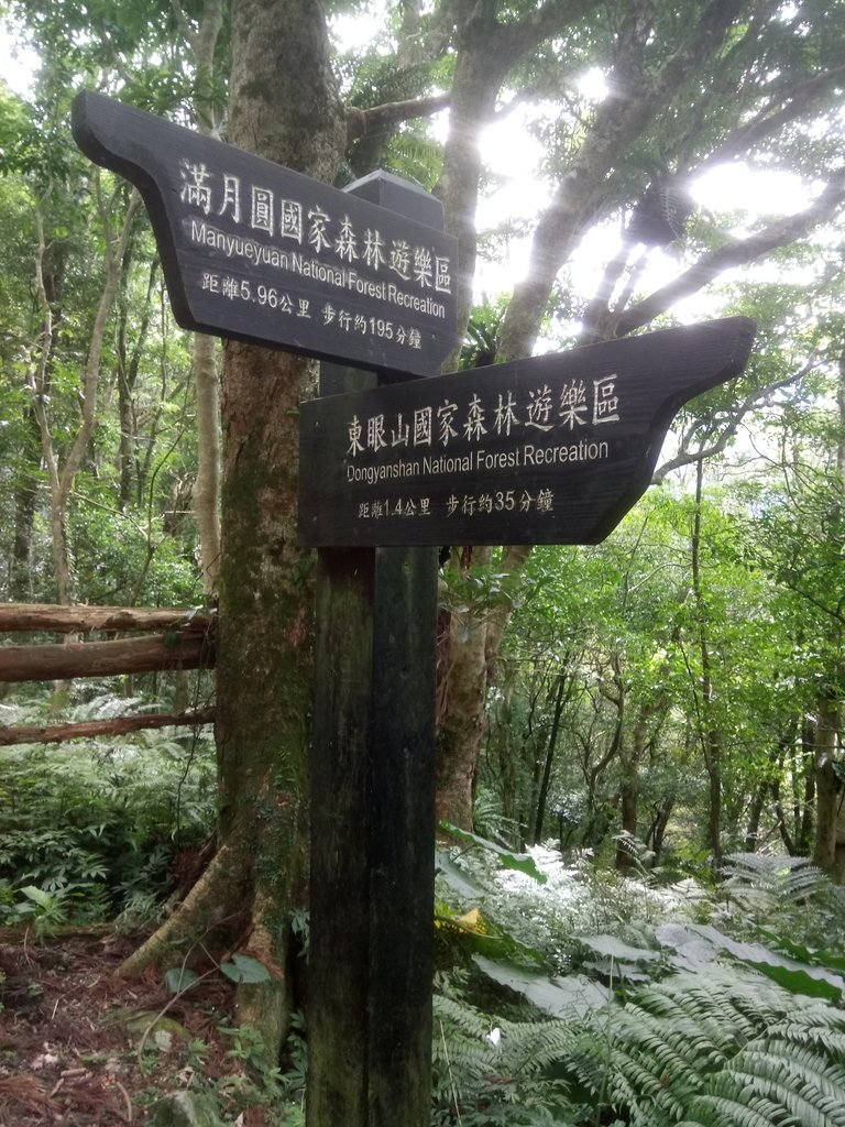 DSC_9019.JPG - 復興  東滿步道