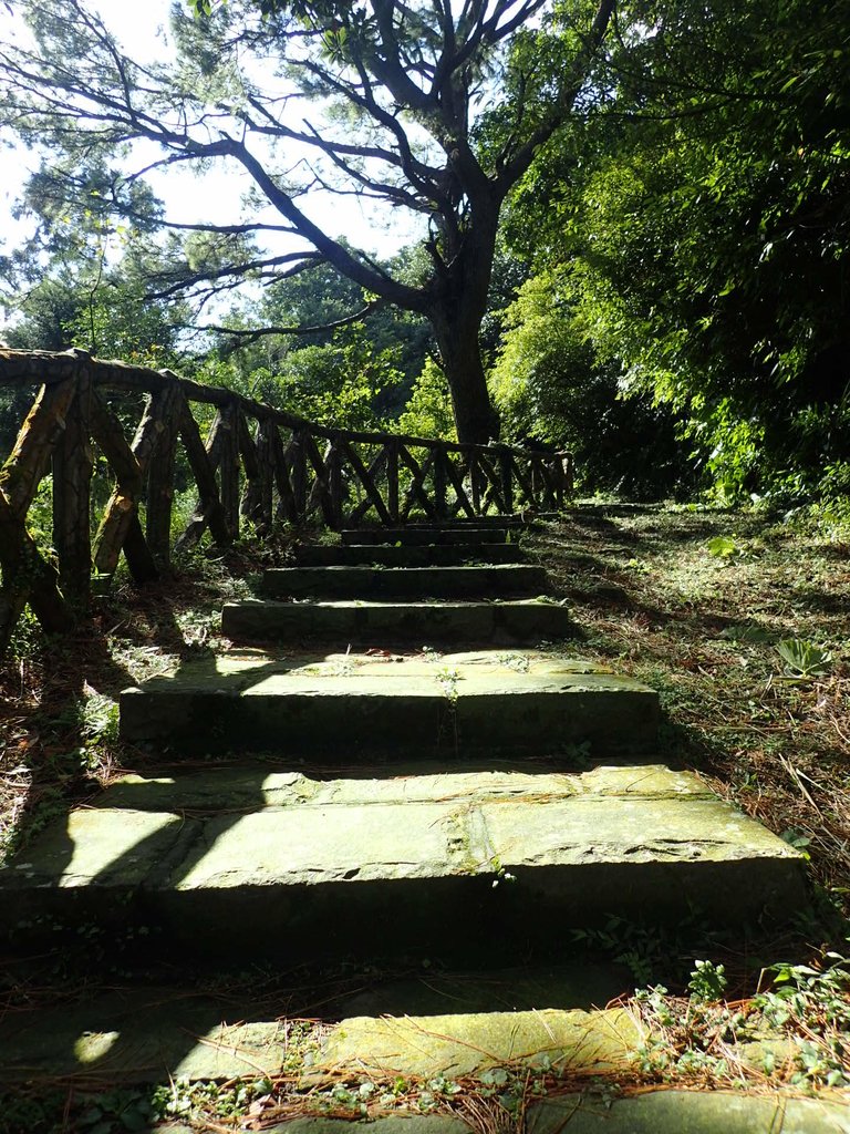 PB247203.JPG - 北投  中正山登山步道  02