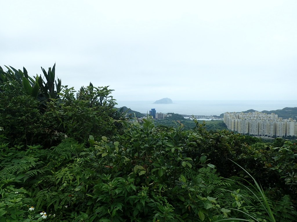 P4143561.JPG - 基隆  五坑山  總督嶺步道