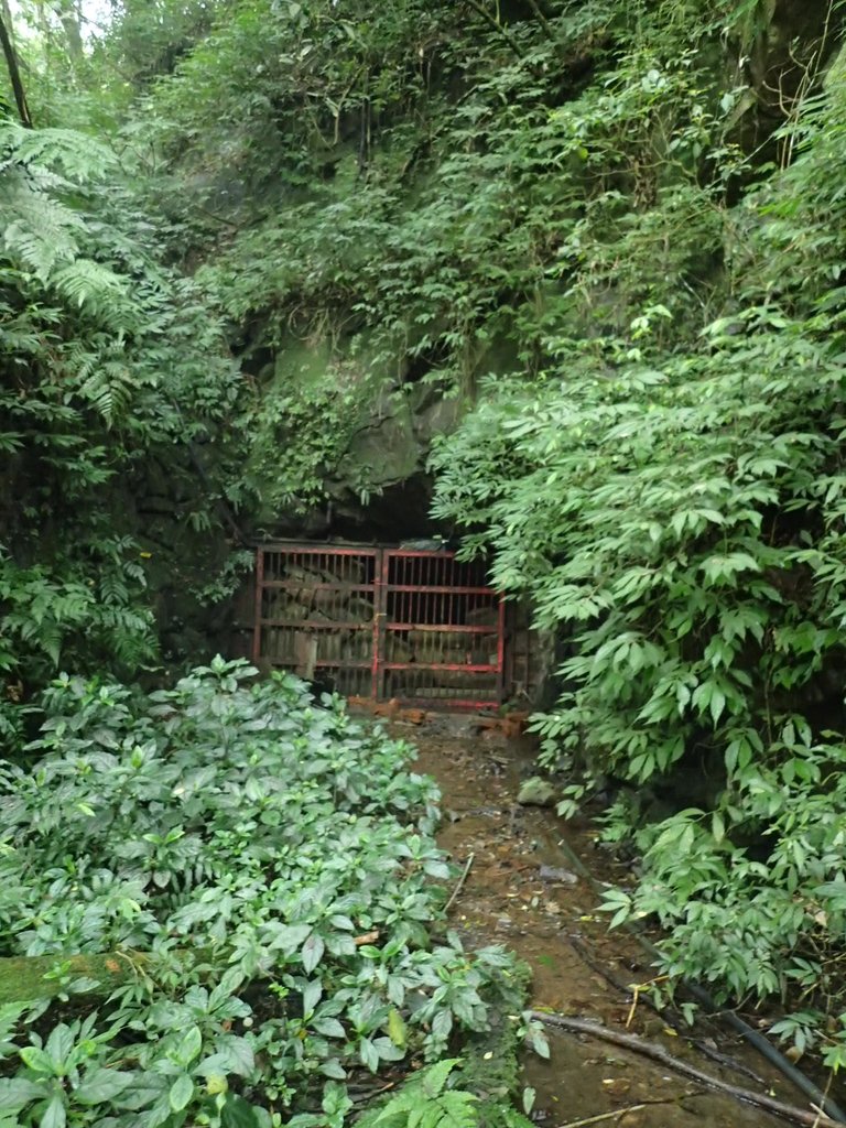 P3039121.JPG - 三峽  白雞山登山步道