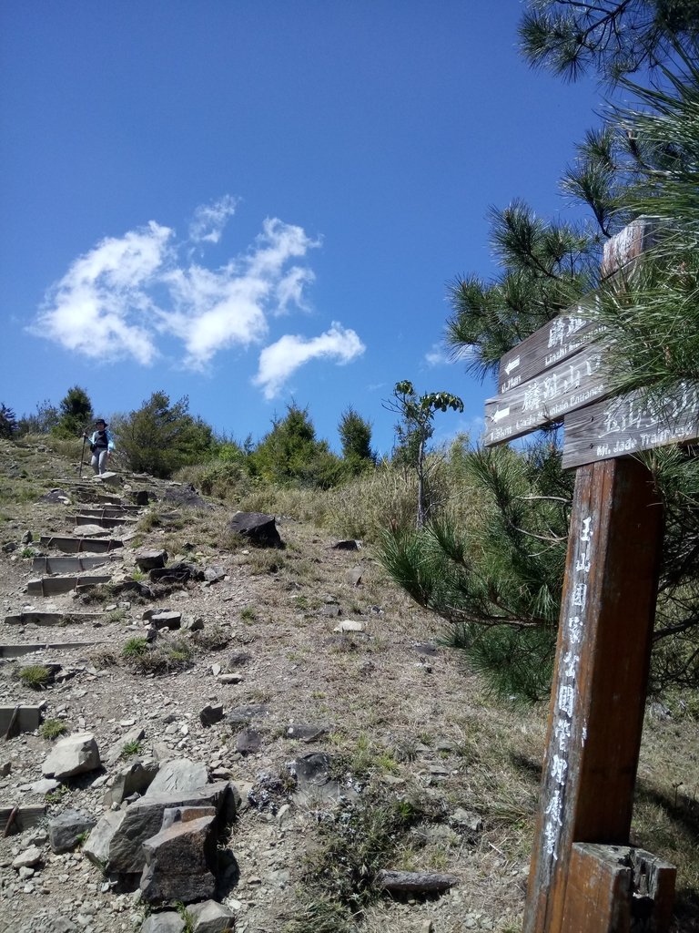 DSC_1720.JPG - 鹿林山  麟趾山步道  (02)