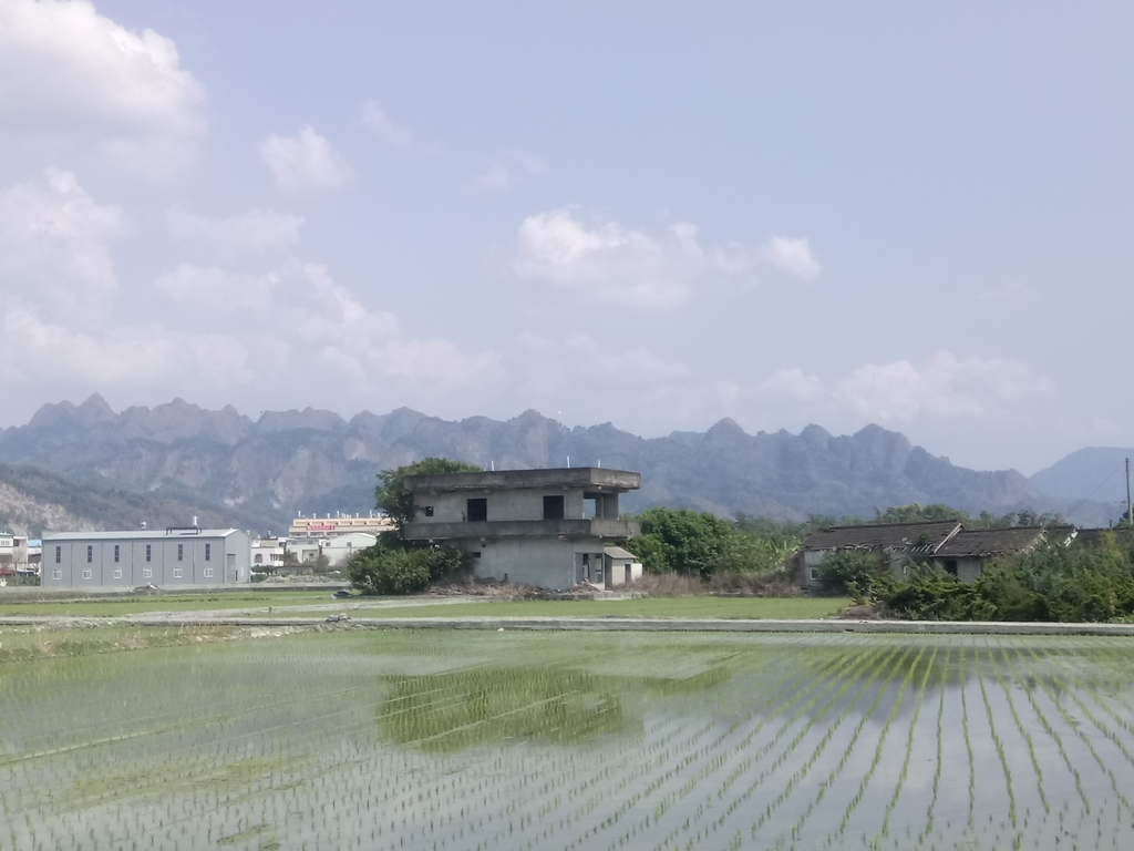 DSC_7283.JPG - 草屯平林  九九峰森林步道