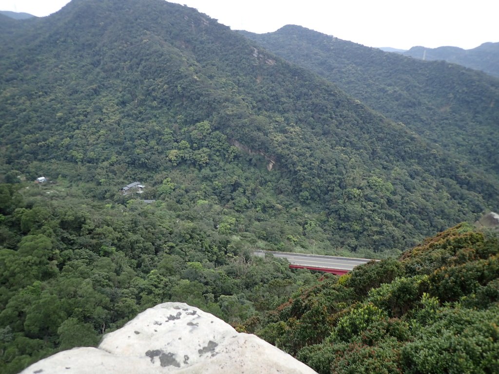 P3160157.JPG - 汐止  金面山(金明山)  稜線步道