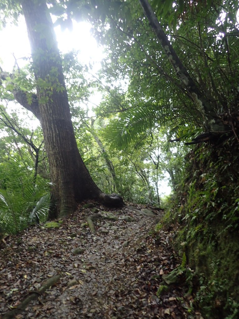 P1294484.JPG - 獅頭山  獅山古道  (01)