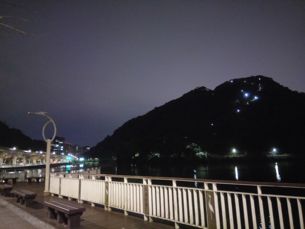 DSC_9335.JPG - 內湖  大湖公園之夜色