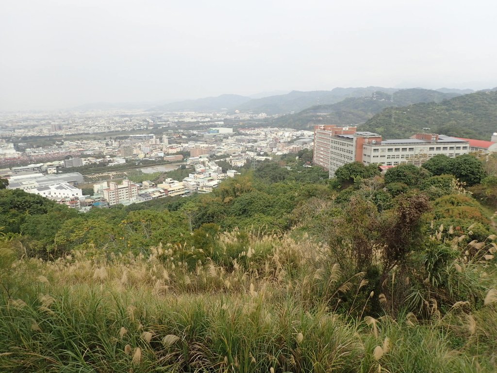 P2095071.JPG - 霧峰  阿罩霧山