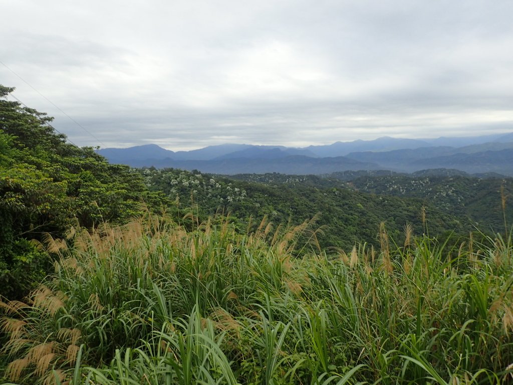 P4272142.JPG - 芎林  飛鳳山  (中坑山)