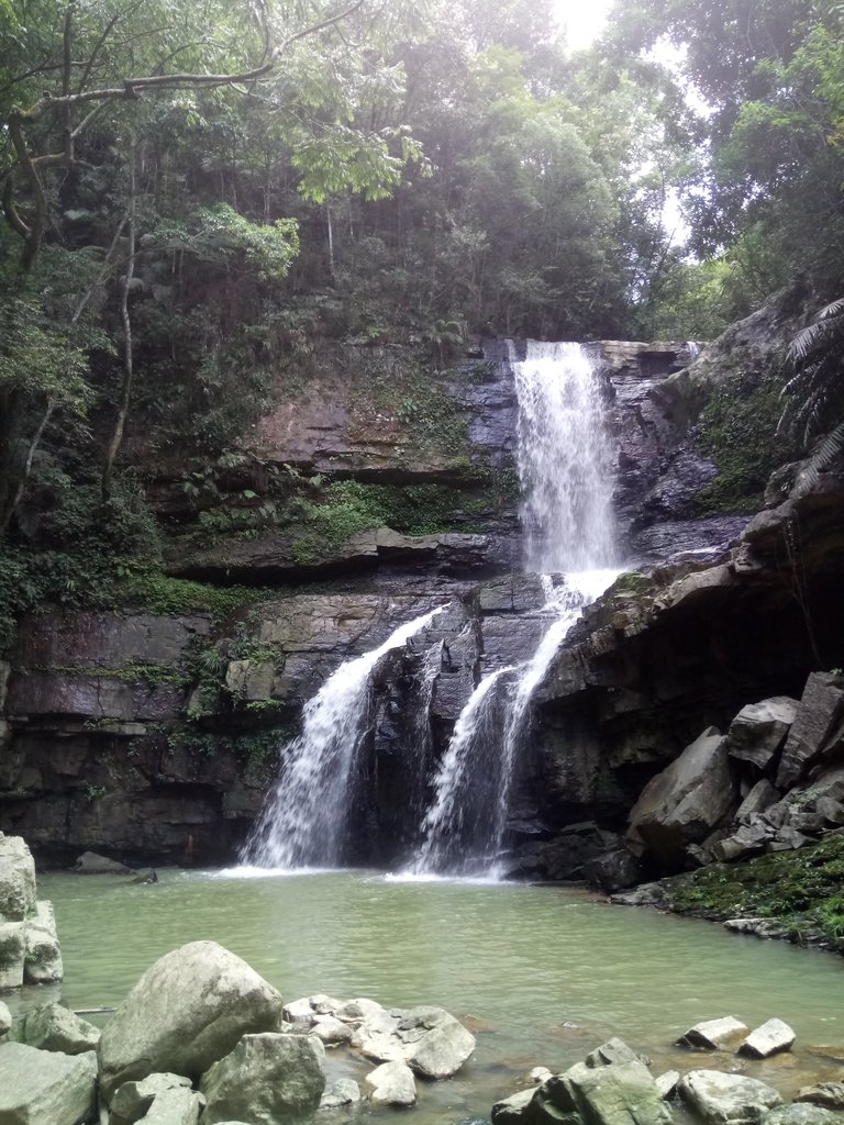 DSC_2638.JPG - 魚池  澀水森林步道  水上瀑布