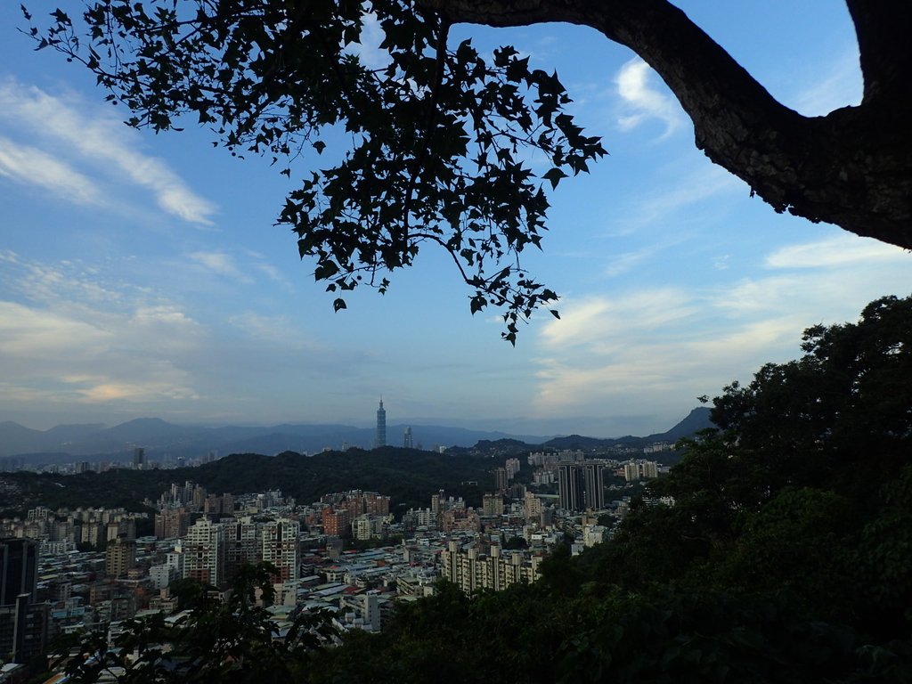 P9230025.JPG - 景美  仙跡岩親山步道