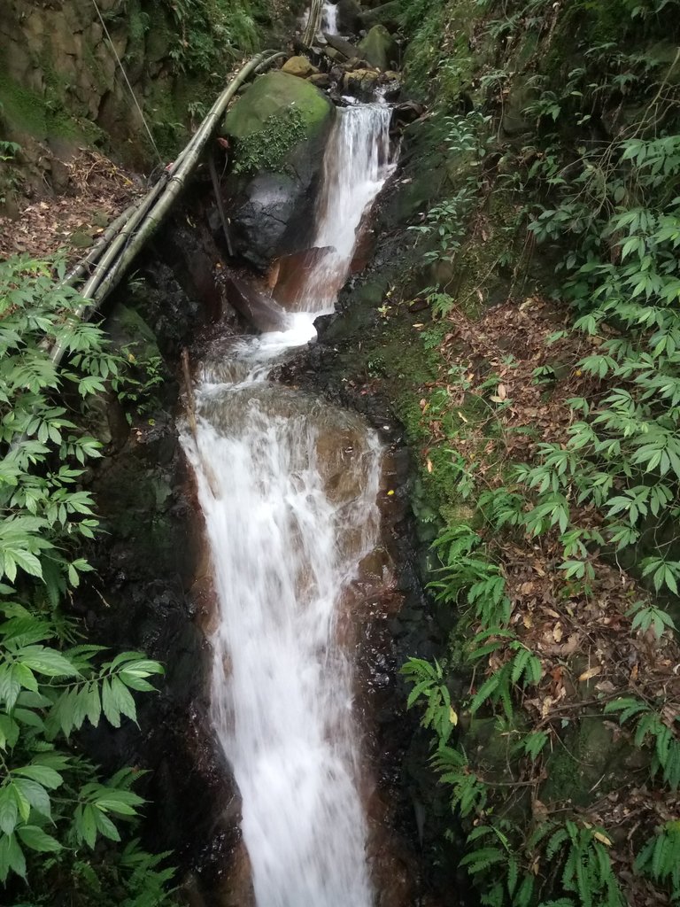 DSC_8640.JPG - 再訪  金包里大道  (魚路古道)