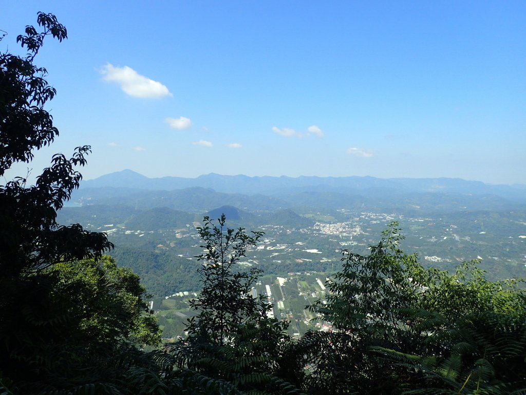 PA040388.JPG - 魚池  過坑山登山步道