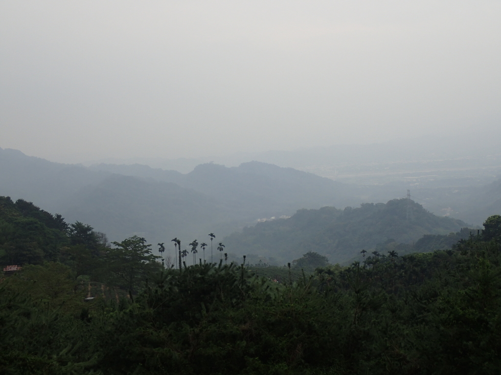 PA171438.JPG - 鹿谷  麒麟潭之  雨中即景