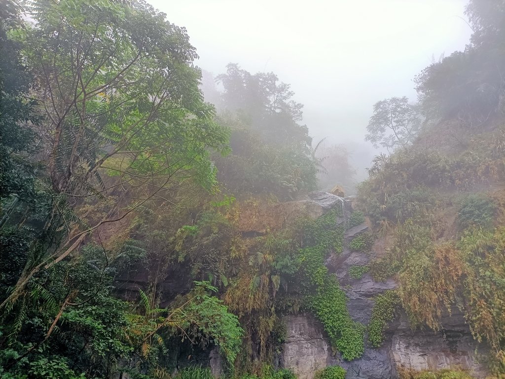 IMG20210108114853.jpg - 梅山  瑞峰村  竹坑溪步道