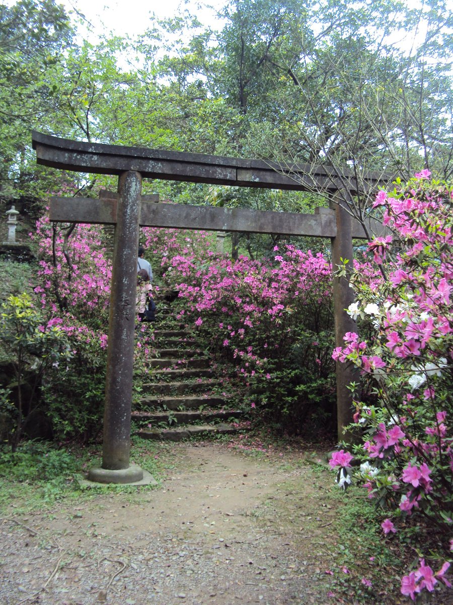 DSC07057.JPG - 再訪  侯硐神社