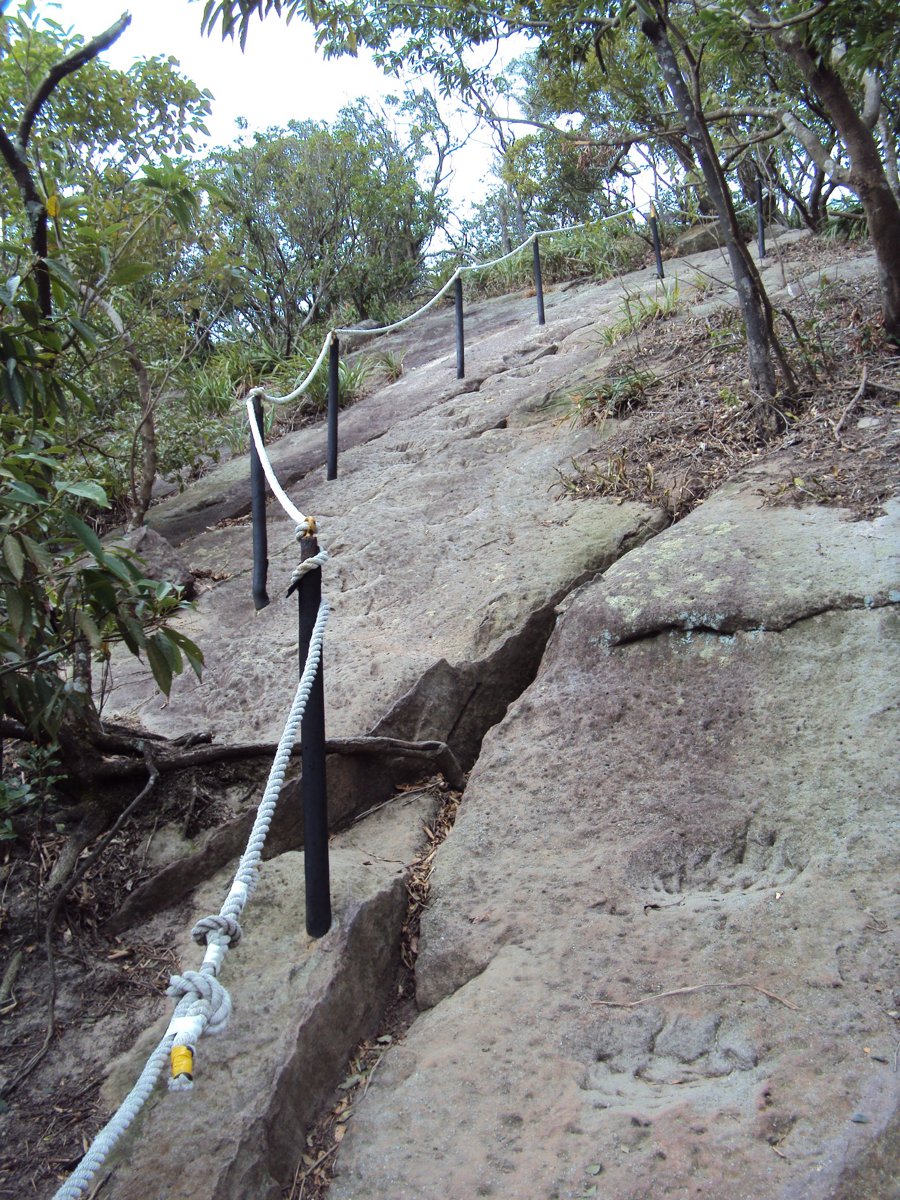 DSC06728.JPG - 內湖  金面山步道